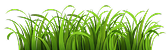 Footer Element